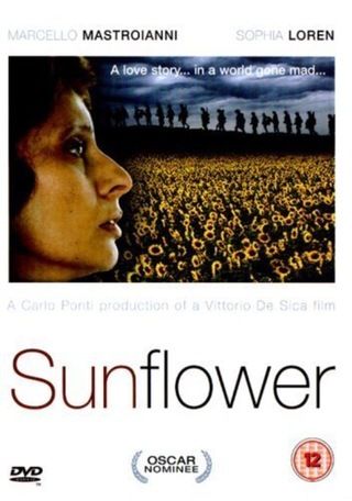 زهرة دوار الشمس EgyBest ايجي بست